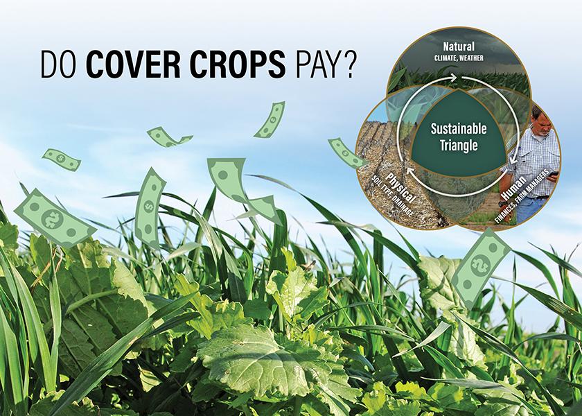 Research Demonstrates Cover Crops As Carbon Negative The Scoop   Sustainable Triangle   Do Cover Crops Pay 